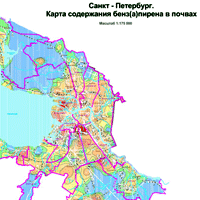 Последствия проживания в районе Санкт-Петербурга, загрязненном бензапиреном